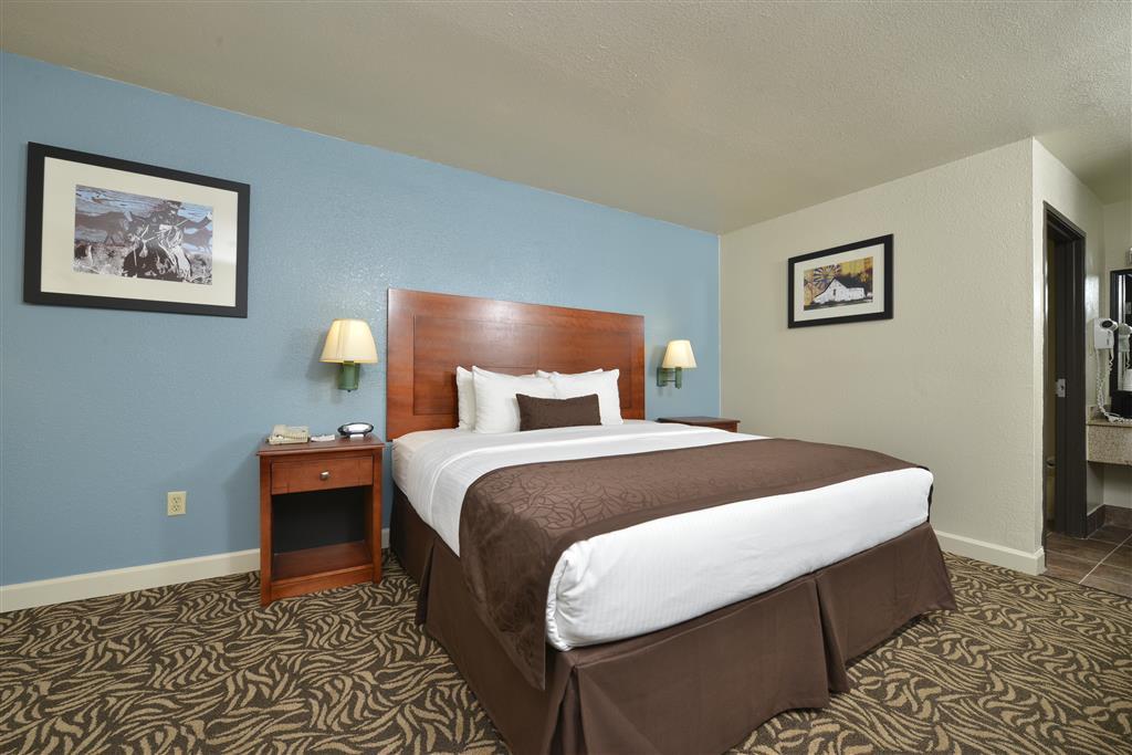 Best Western Regency Inn & Suites Gonzales Szoba fotó
